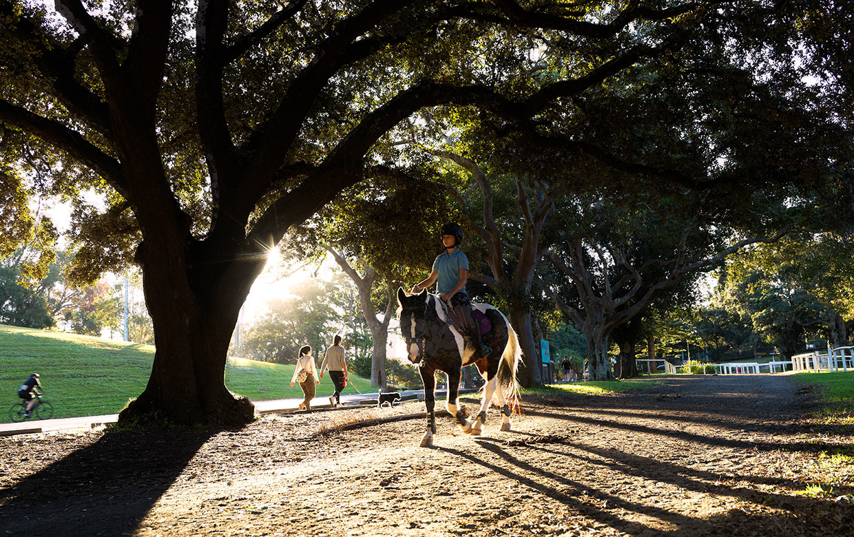 Centennial Park